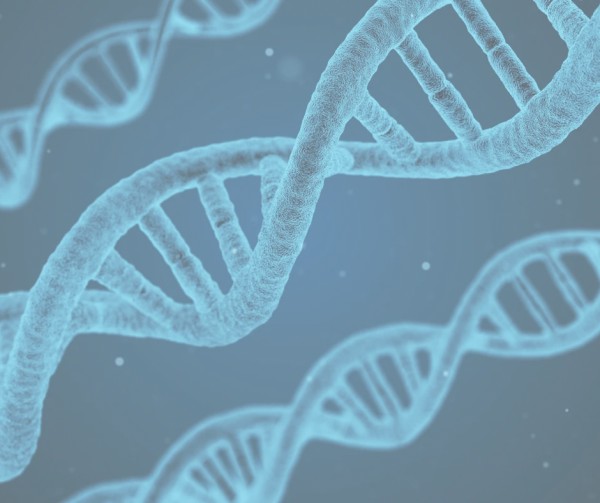 Imagem do procedimento HPV Onco Tect - RNA Mensageiro E6 e E7