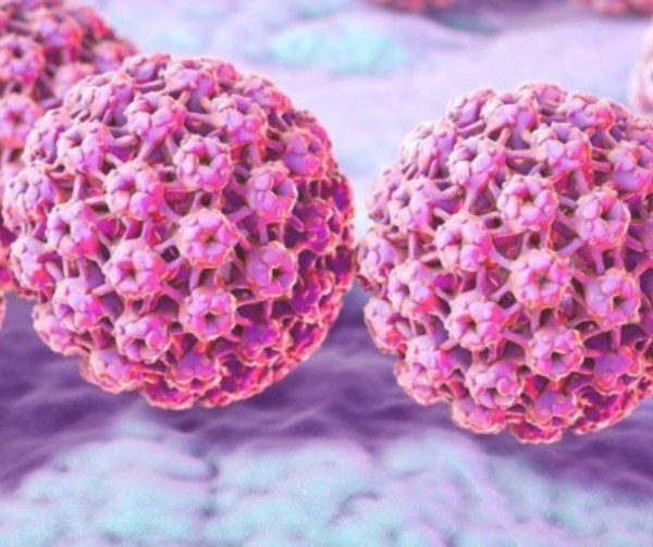 Imagem de HPV por PCR